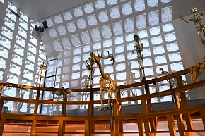 museum boerhaave 3-2022 1131